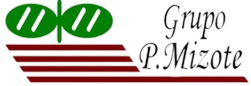 Grupo P. Mizote